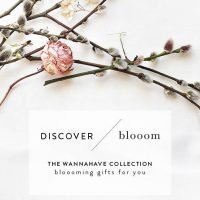 Blooom the collection